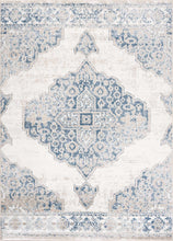Carregar imagem no visualizador da galeria, Amir Area Rug - Clearance
