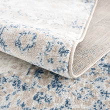 Carregar imagem no visualizador da galeria, Amir Area Rug - Clearance
