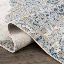 Carregar imagem no visualizador da galeria, Amir Area Rug - Clearance
