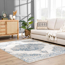 Carregar imagem no visualizador da galeria, Amir Area Rug - Clearance
