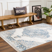 Carregar imagem no visualizador da galeria, Amir Area Rug - Clearance
