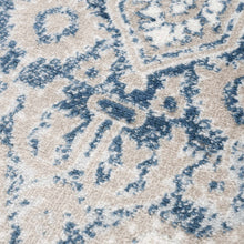 Carregar imagem no visualizador da galeria, Amir Area Rug - Clearance
