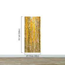 Carregar imagem no visualizador da galeria, Autumn Scenic Birch Tree Forest Wall Mural | Peel and Stick Wallpaper. #6202
