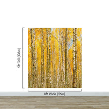 Cargar imagen en el visor de la galería, Autumn Scenic Birch Tree Forest Wall Mural | Peel and Stick Wallpaper. #6202
