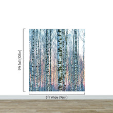 Cargar imagen en el visor de la galería, White Birch Tree Forest Wall Mural Wallpaper. Sunset Scenery. #6246
