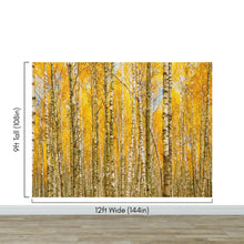 Carregar imagem no visualizador da galeria, Autumn Scenic Birch Tree Forest Wall Mural | Peel and Stick Wallpaper. #6202
