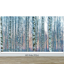 Carregar imagem no visualizador da galeria, White Birch Tree Forest Wall Mural Wallpaper. Sunset Scenery. #6246
