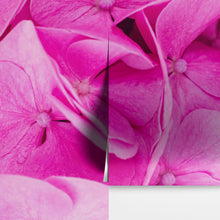 Cargar imagen en el visor de la galería, Pink Flowers Floral Wallpaper Mural. #6776
