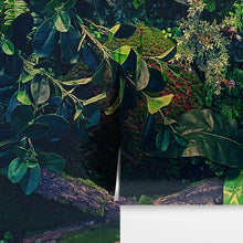 Load image into Gallery viewer, Jungle Wallpaper, Forest Greenery Botanical Wall Mural. #6741
