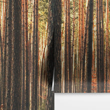 Cargar imagen en el visor de la galería, Forest Wallpaper Mural. Woodland Country Theme / Farmhouse Wall Decor. #6777
