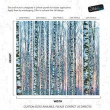 Load image into Gallery viewer, White Birch Tree Forest Wall Mural Wallpaper. Sunset Scenery. #6246

