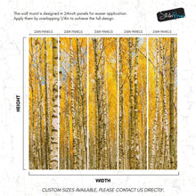 Cargar imagen en el visor de la galería, Autumn Scenic Birch Tree Forest Wall Mural | Peel and Stick Wallpaper. #6202
