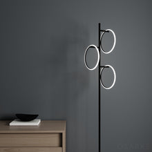 Load image into Gallery viewer, Neo Floor Lamp
