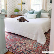 Load image into Gallery viewer, Neyland Washable Area Rug
