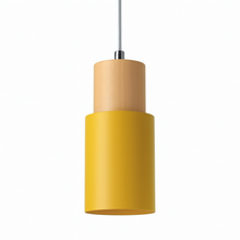 Load image into Gallery viewer, Nouveau Pendant Light
