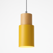 Load image into Gallery viewer, Nouveau Pendant Light
