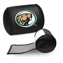 Load image into Gallery viewer, Bemidji State University Primary Logo Panel
