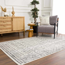 Load image into Gallery viewer, Greig Area Rug
