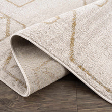 Carregar imagem no visualizador da galeria, Azzan Cream &amp; Gold Area Rug - Clearance
