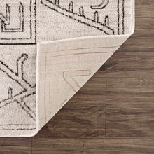Load image into Gallery viewer, Divya Cream &amp; Charcoal Area Rug - Clearance
