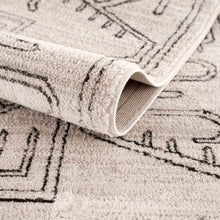 Load image into Gallery viewer, Divya Cream &amp; Charcoal Area Rug - Clearance
