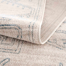 Load image into Gallery viewer, Divya Cream &amp; Silver Blue Area Rug - Clearance
