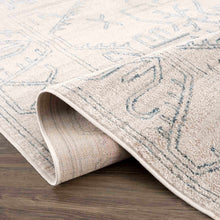 Load image into Gallery viewer, Divya Cream &amp; Silver Blue Area Rug - Clearance

