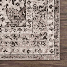 Carregar imagem no visualizador da galeria, Albie Beige Area Rug - Clearance
