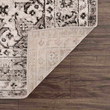 Carregar imagem no visualizador da galeria, Albie Beige Area Rug - Clearance
