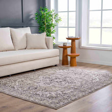 Carregar imagem no visualizador da galeria, Albie Beige Area Rug - Clearance
