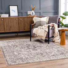Carregar imagem no visualizador da galeria, Albie Beige Area Rug - Clearance
