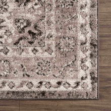 Carregar imagem no visualizador da galeria, Albie Charcoal &amp; Beige Area Rug - Clearance
