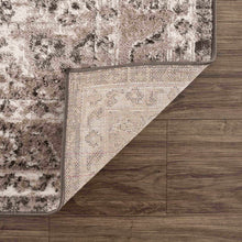 Carregar imagem no visualizador da galeria, Albie Charcoal &amp; Beige Area Rug - Clearance
