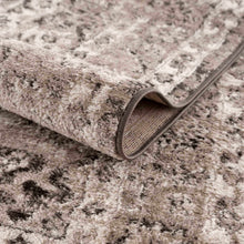 Carregar imagem no visualizador da galeria, Albie Charcoal &amp; Beige Area Rug - Clearance
