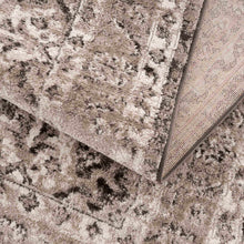 Carregar imagem no visualizador da galeria, Albie Charcoal &amp; Beige Area Rug - Clearance
