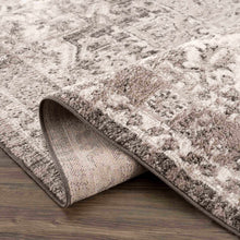 Carregar imagem no visualizador da galeria, Albie Charcoal &amp; Beige Area Rug - Clearance
