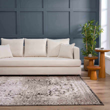 Carregar imagem no visualizador da galeria, Albie Charcoal &amp; Beige Area Rug - Clearance
