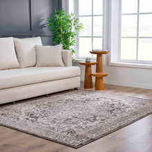 Carregar imagem no visualizador da galeria, Albie Charcoal &amp; Beige Area Rug - Clearance
