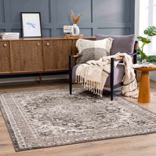 Carregar imagem no visualizador da galeria, Albie Charcoal &amp; Beige Area Rug - Clearance
