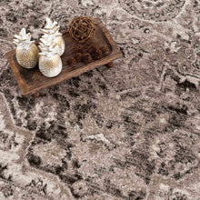 Carregar imagem no visualizador da galeria, Albie Charcoal &amp; Beige Area Rug - Clearance
