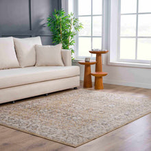 Carregar imagem no visualizador da galeria, Anana Gold &amp; Beige Area Rug - Clearance
