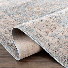 Carregar imagem no visualizador da galeria, Anana Silver Blue &amp; Beige Area Rug - Clearance
