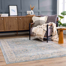 Carregar imagem no visualizador da galeria, Anana Silver Blue &amp; Beige Area Rug - Clearance

