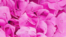 Cargar imagen en el visor de la galería, Pink Flowers Floral Wallpaper Mural. #6776
