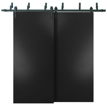 Load image into Gallery viewer, Planum 0010 Black Matte Double Barn Door | Black Bypass Rails
