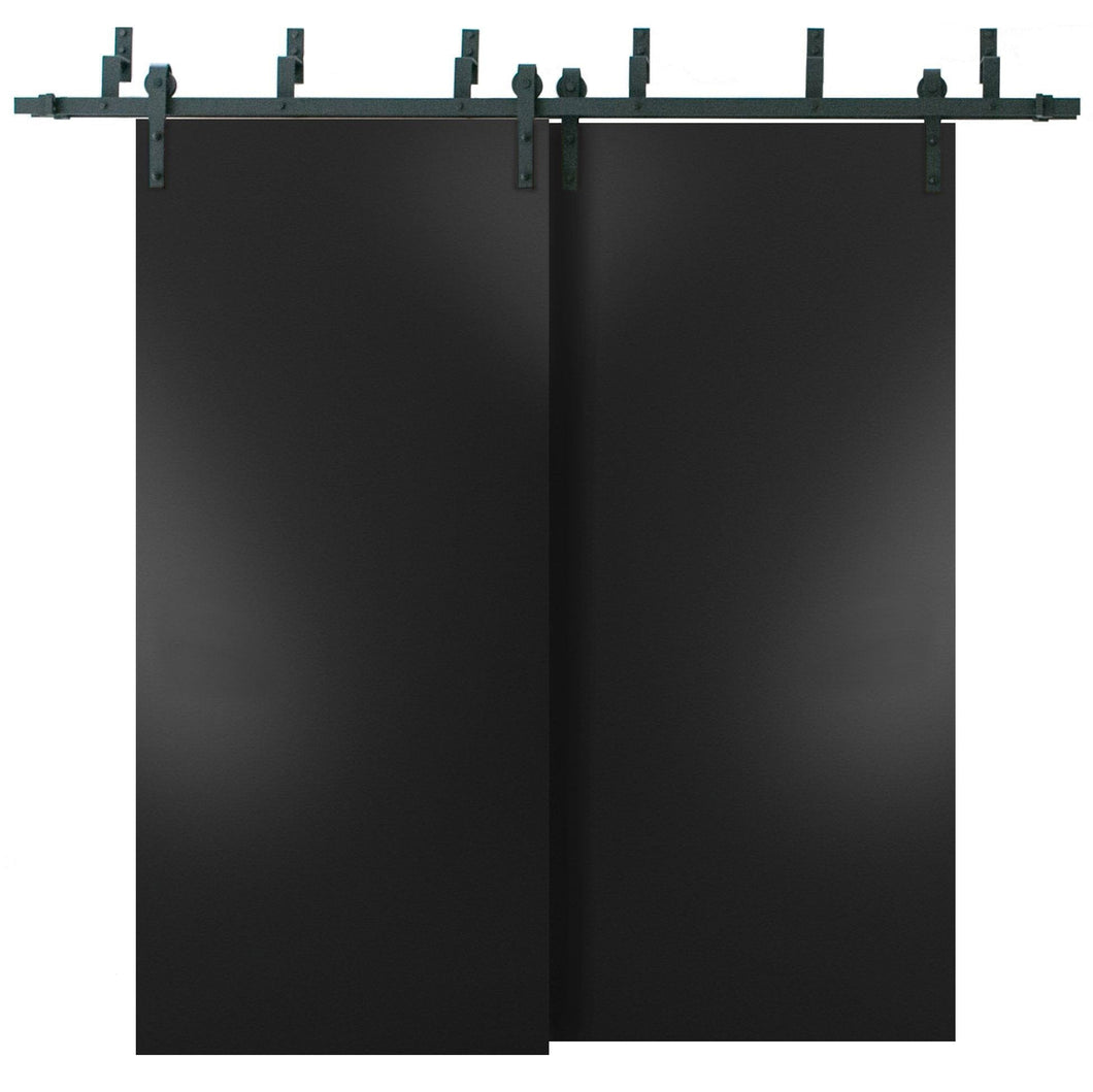 Planum 0010 Black Matte Double Barn Door | Black Bypass Rails