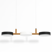 Load image into Gallery viewer, Rangeen Pendant Light
