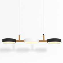 Load image into Gallery viewer, Rangeen Pendant Light
