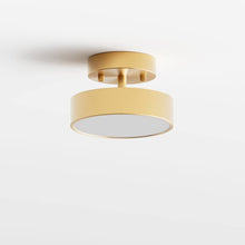 Load image into Gallery viewer, Rupert Ceiling Light

