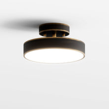 Load image into Gallery viewer, Rupert Ceiling Light

